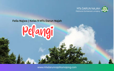 Pelangi
